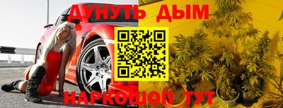 гидра Славянск-на-Кубани