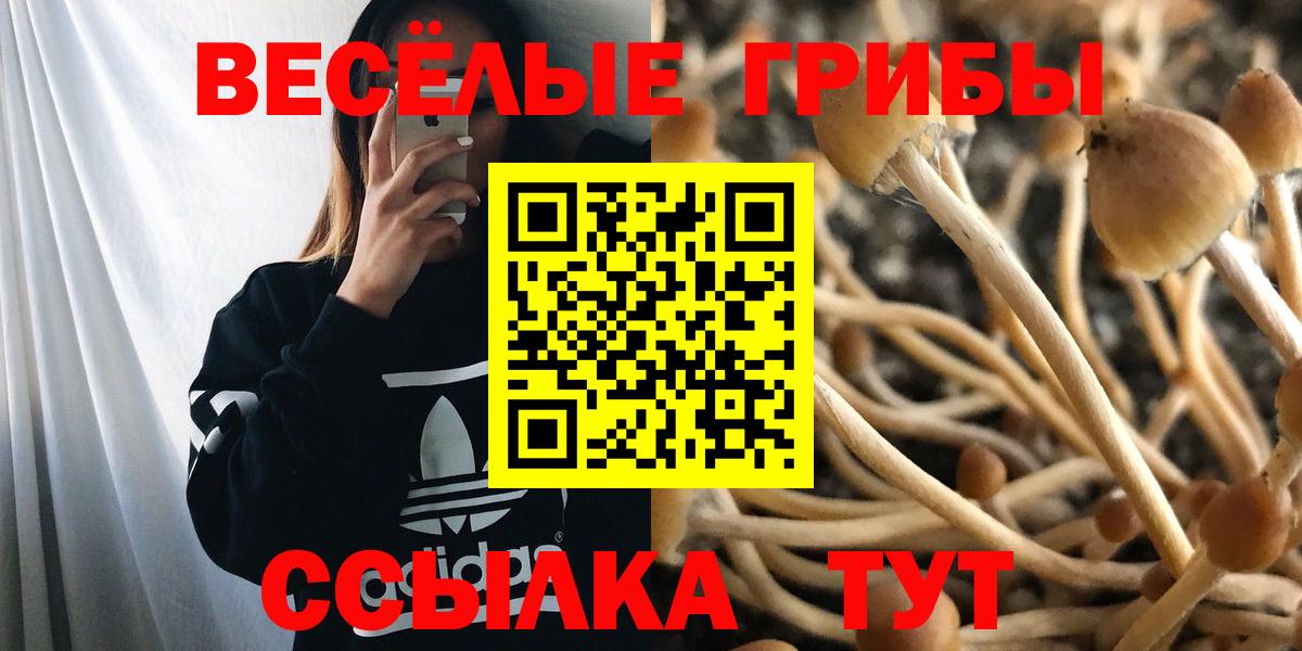 Галлюциногенные грибы GOLDEN TEACHER  Псилоцибиновые грибы GOLDEN TEACHER  что такое   Вход с VPN  Острогожск 